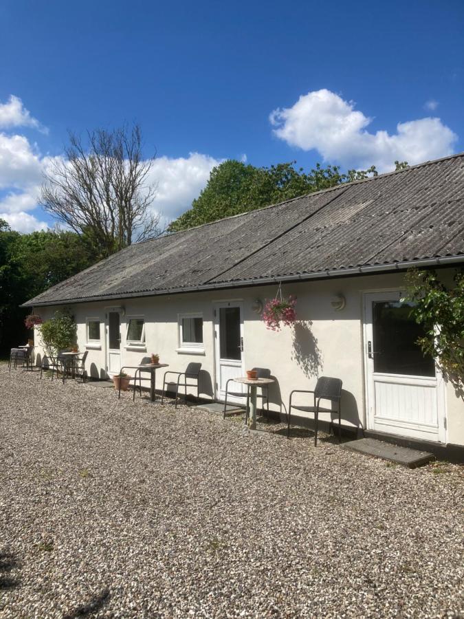 Ferienwohnung Vejskraekgarden Fæbæk Exterior foto