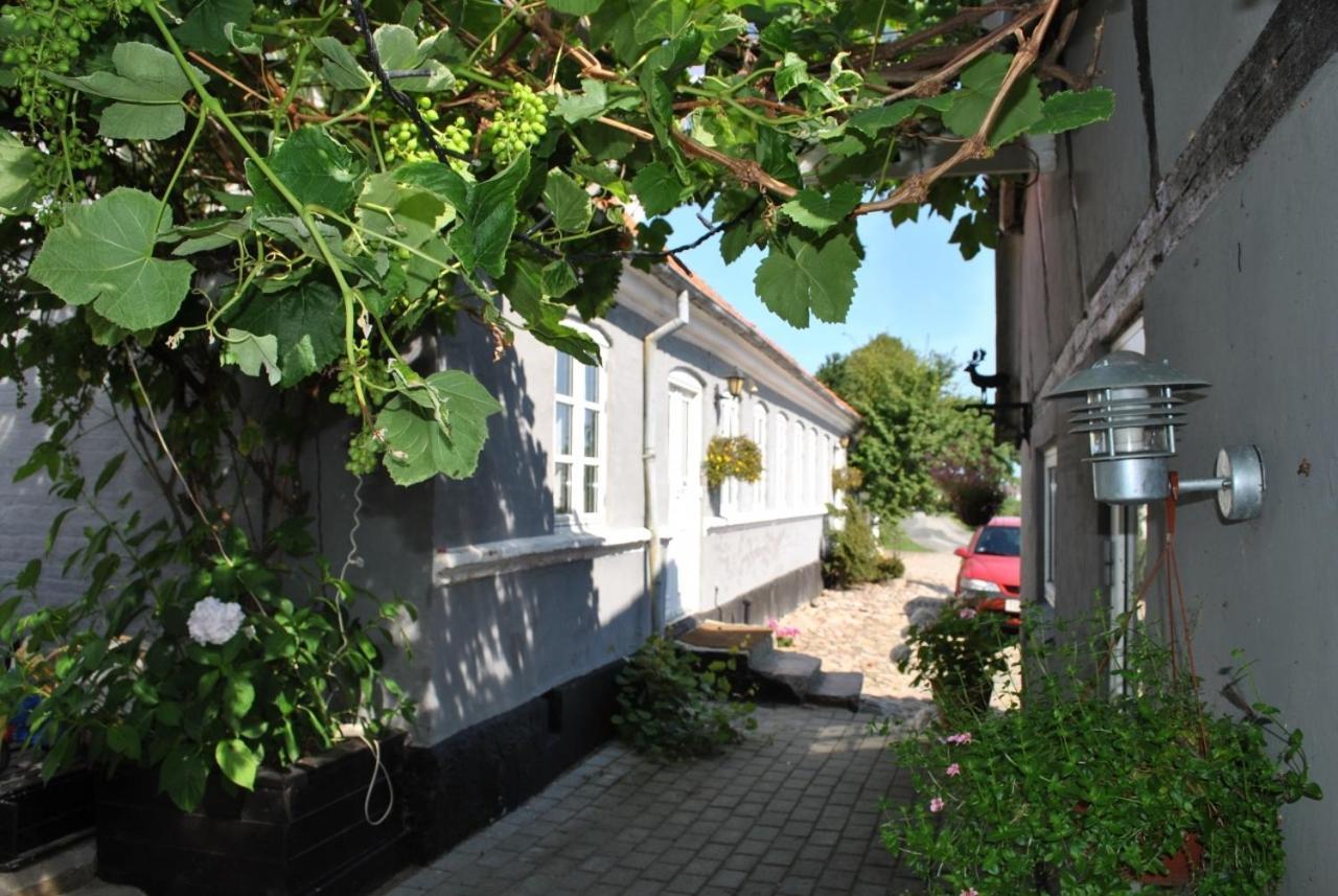 Ferienwohnung Vejskraekgarden Fæbæk Exterior foto